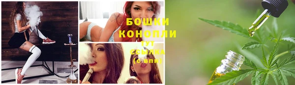 крисы Богданович