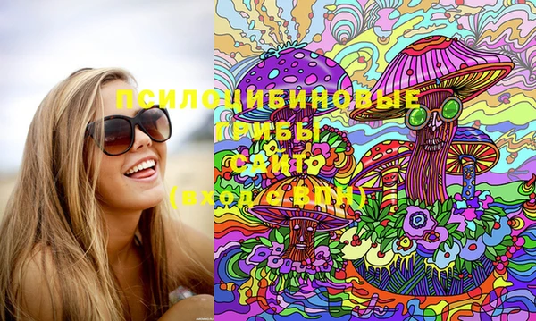 крисы Богданович