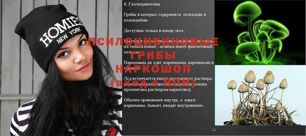 гидропоника Богородицк