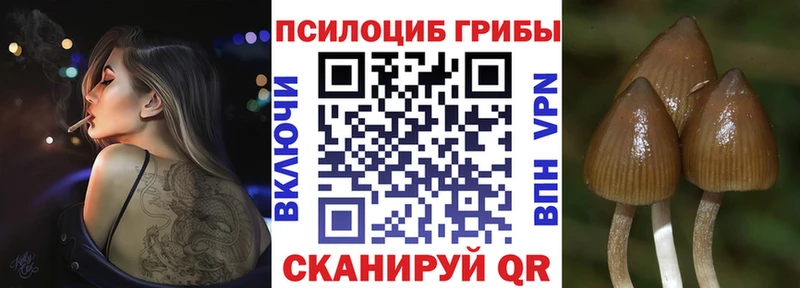 магазин продажи наркотиков  Донской  Псилоцибиновые грибы Magic Shrooms 